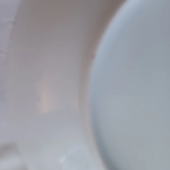 LIMOGES FRANCE 10"VINTAGE HAND PAINTED PLATE PEONIES - Picture 3 of 14